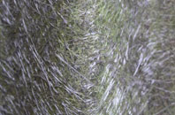 Holme Next The Sea fibreglass roof work